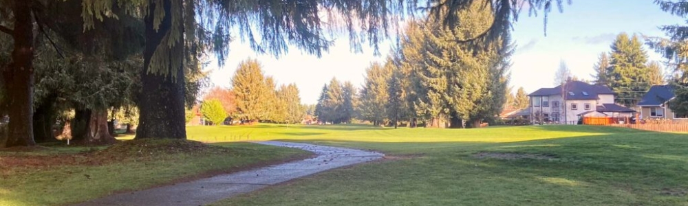 User banner image